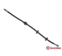 Tubo flessibile freno T 23 184 BREMBO per FIAT DOBLO Cassone/Limousine spaziosa
