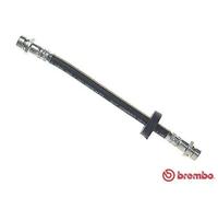 Tubo flessibile freno T 24 036 BREMBO per FORD FOCUS I FOCUS I Turnier