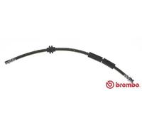Tubo flessibile freno T 24 127 BREMBO per SEAT FORD VW