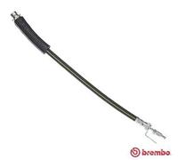 Tubo flessibile freno T 24 146 BREMBO per FORD TRANSIT Autobus TRANSIT Furgone