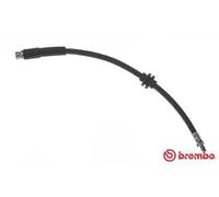 Tubo flessibile freno T 49 046 BREMBO per MAZDA 5 3 Tre volumi 3