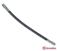 Tubo flessibile freno T 50 013 BREMBO per MERCEDES-BENZ VW
