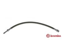 Tubo flessibile freno T 50 032 BREMBO per MERCEDES-BENZ VW