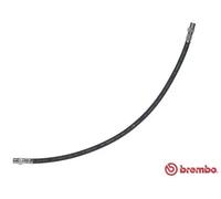 Tubo flessibile freno T 50 037 BREMBO per MERCEDES-BENZ T1 Furgone T1 Autobus