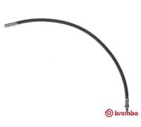 Tubo flessibile freno T 50 063 BREMBO per MERCEDES-BENZ SPRINTER 3-t Autobus