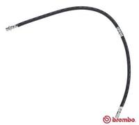 Tubo flessibile freno T 54 052 BREMBO per MITSUBISHI PAJERO IV PAJERO IV Van