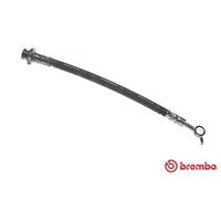 Tubo flessibile freno T 56 162 BREMBO per OPEL NISSAN RENAULT