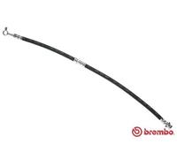 Tubo flessibile freno T 56 173 BREMBO per NISSAN X-TRAIL I PRIMASTAR Furgone