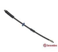 Brembo T 61 008 - Tubo Freno - Anteriore
