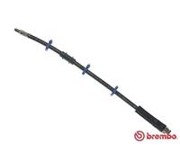 Tubo flessibile freno T 61 009 BREMBO per CITROËN FIAT PEUGEOT ALFA ROMEO