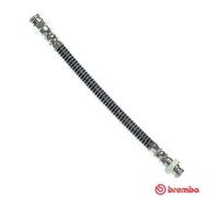 Tubo flessibile freno T 61 022 BREMBO per CITROËN PEUGEOT