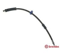 Tubo flessibile freno T 61 031 BREMBO per FIAT PEUGEOT CITROËN