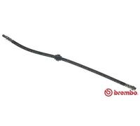 Tubo flessibile freno T 61 036 BREMBO per CITROËN PEUGEOT