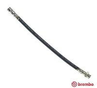 Brembo T 61 044 - Brake Hose - Rear
