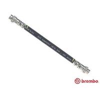 Tubo flessibile freno T 68 029 BREMBO per RENAULT CLIO II KANGOO Express CLIO I