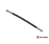 Tubo flessibile freno T 68 031 BREMBO per NISSAN RENAULT