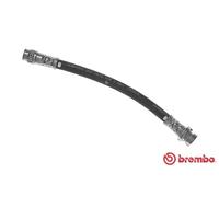 Tubo flessibile freno T 68 048 BREMBO per RENAULT KANGOO Express LAGUNA II