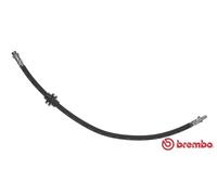 Tubo flessibile freno T 68 070 BREMBO per RENAULT MODUS / GRAND MODUS CLIO III