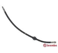 Tubo flessibile freno T 68 091 BREMBO per DACIA RENAULT