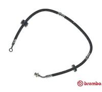 Tubo flessibile freno T 79 009 BREMBO per SUZUKI VITARA X-90 VITARA Cabrio