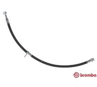 BREMBO Flessibile del freno per SUZUKI T 79 042