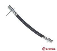 Tubo flessibile freno T 83 161 BREMBO per TOYOTA AURIS COROLLA Tre volumi VERSO