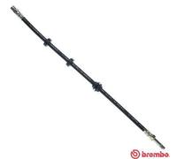 Tubo flessibile freno T 85 020 BREMBO per VW SEAT