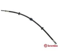 Tubo flessibile freno T 85 031 BREMBO per VW FORD SEAT