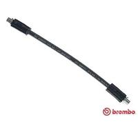 Tubo flessibile freno T 85 034 BREMBO per AUDI 80 B3 Tre volumi COUPE B3 90 B3