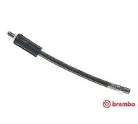 Tubo flessibile freno T 85 037 BREMBO per AUDI 100 C3 Tre volumi V8 100 C3 Avant