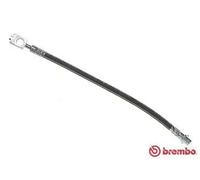 Tubo flessibile freno T 85 049 BREMBO per VW AUDI