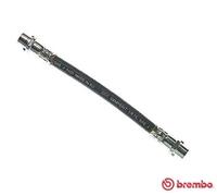 Tubo flessibile freno T 85 050 BREMBO per AUDI A6 C4 A6 C4 Avant A6 C5 Avant