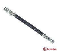 Tubo flessibile freno T 85 061 BREMBO per AUDI 80 B2 Tre volumi 80 B3 Tre volumi