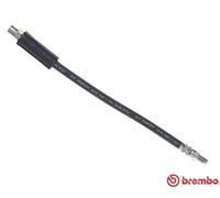Tubo flessibile freno T 85 069 BREMBO per AUDI BMW