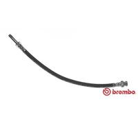 Tubo flessibile freno T 85 089 BREMBO per SKODA VW