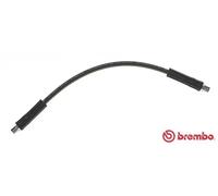 Tubo flessibile freno T 85 102 BREMBO per VW TRANSPORTER T3 Autobus