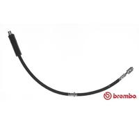 Tubo flessibile freno T 85 113 BREMBO per AUDI VW
