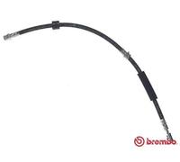 Tubo flessibile freno T 85 144 BREMBO per AUDI VW SEAT SKODA