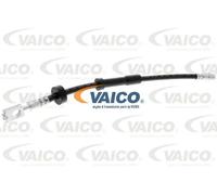 VAICO V10-4214 Flessibile del freno per AUDI,VW