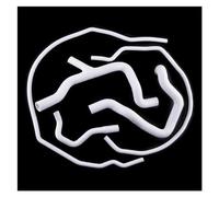 Tubo Flessibile Per Ford Per Focus RS Mk2 2009 2010 2011 Auto Silicone Radiatore Liquido Raffreddamento Tubo Tubo Tubo Kit Prestazioni Pressione Temperatura Tubo Aspirazione Aria(Bianco)