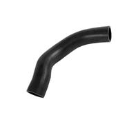 Tubo flessibile per radiatore del serbatoio dell'acqua compatibile con i codici 20542199 e 1665940