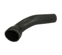Tubo flessibile, raffreddatore dell'aria THERMOTEC DCM001TT destro