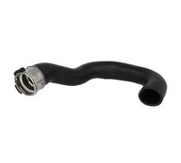 Tubo flessibile, raffreddatore dell'aria THERMOTEC DCX026TT destro