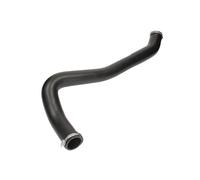 Tubo flessibile, raffreddatore dell'aria THERMOTEC DCX034TT