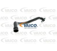 Tubo flessibile ricircolo motore V10-9766 VAICO per VW SEAT AUDI