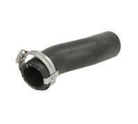 Tubo flessibile, riscaldatore scambiatore di calore THERMOTEC DNF038TT sinistro