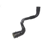 Tubo flessibile, Scarico aria copritestata AKUSAN GB 0047 per A3 1.6 2000-2003