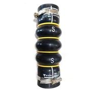 Tubo flessibile turbo intercooler Intercooler Collegamento Scambiatore Tubo Aria Per Citroen C4 Per Picasso Per Berlingo DS3 DS4 DS5 1.2T 0382NP 0382NN(9686000180 0382NP)