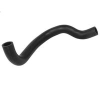 Tubo flessibile, ventilazione carter DT SPARE PARTS per ACTROS 11.946 1996-2002