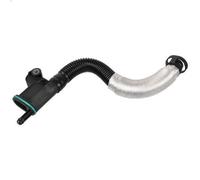 Tubo flessibile, ventilazione carter FEBI 170861 per AUDI A3 (8P1) 2 2004-2012